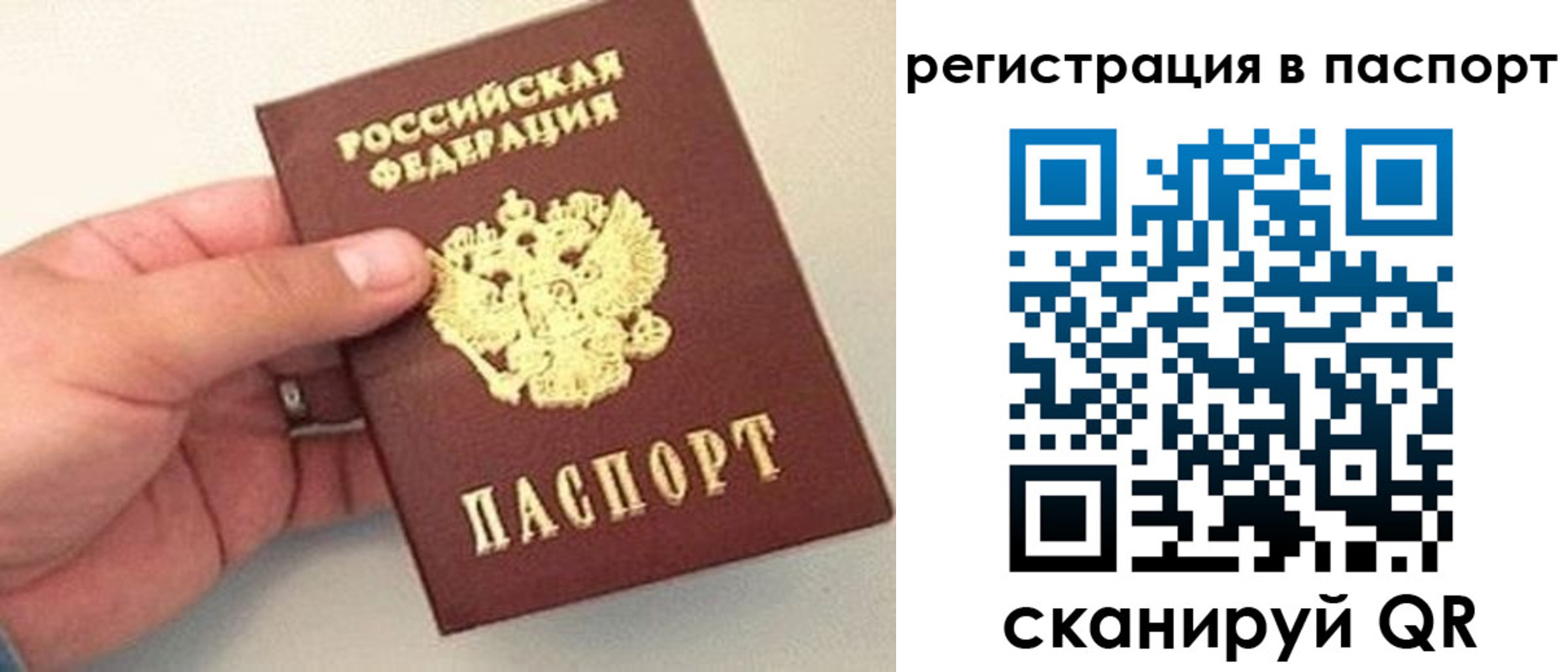 прописка законно в Липецкая области